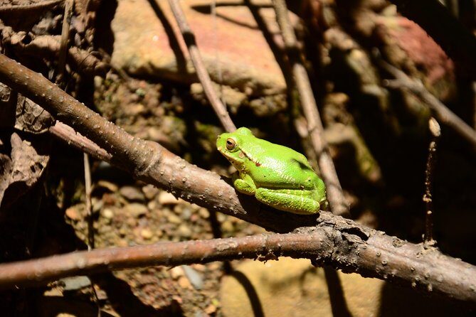 Private Palca Canyon Tour from La Paz with optional stop at Valle de las Animas - Key Points