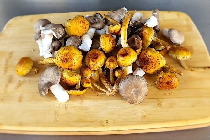 Private Palm Springs Cooking Class with a Fun Local Chef Stephen - Final Thoughts: Is It Right for You?