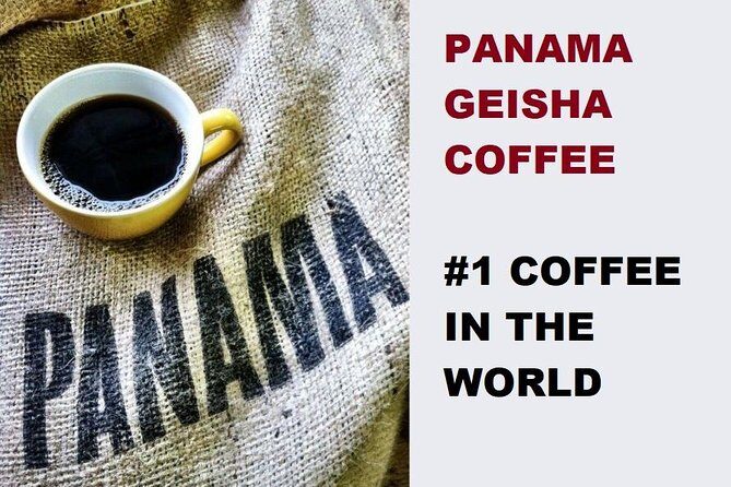 Private Panama Canal, and City Tour - The Sum Up: Who Should Consider This Tour?