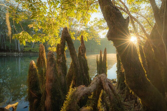 Private Panama City Beach Photo Excursion - An Authentic Photography Adventure in Panama City Beach