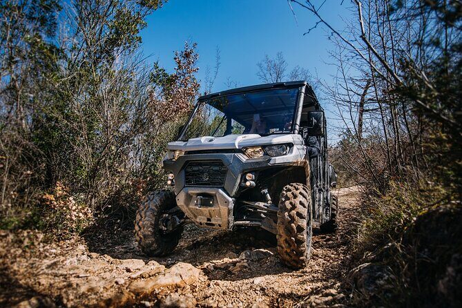 Private Panorama Buggy Tour (Half Day) - FAQ