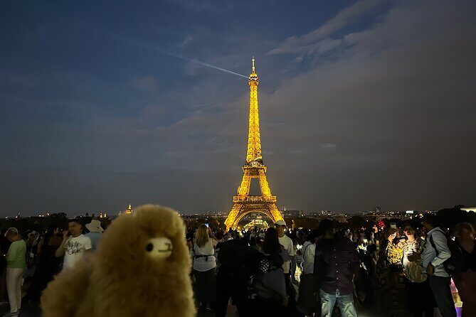 Private Paris City Night Sightseeing Tour - Sparkle Eiffel Tower - Exploring the Itinerary: Sights and Stops