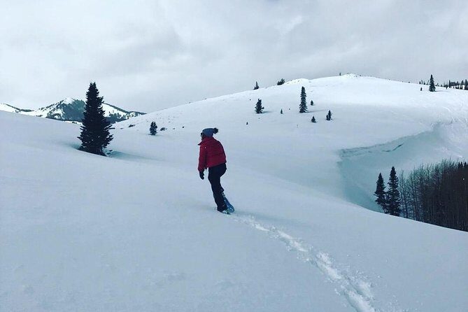 Private Park City Snowshoe Excursions (9:30am/12:30pm start time) - Key Points