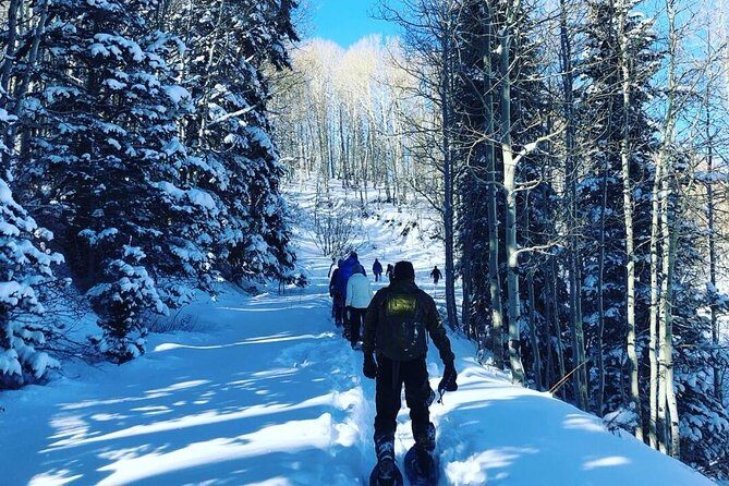 Private Park City Snowshoe Excursions (9:30am/12:30pm start time) - Final Words