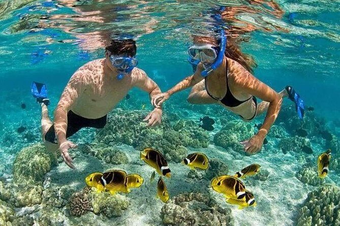 Private Party Boat with Snorkeling in Punta Cana (Half Day) - FAQ about the Private Party Boat with Snorkeling in Punta Cana