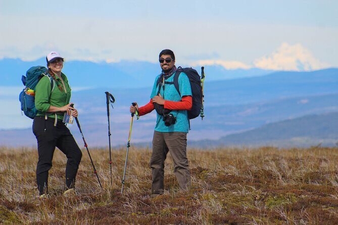 Private Patagonian Forest Hike in Punta Arenas: 6 Hour - A Closer Look at the Experience