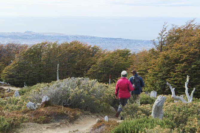 Private Patagonian Forest Hike in Punta Arenas: 8 Hour - A Deep Dive Into the Patagonian Forest Hike
