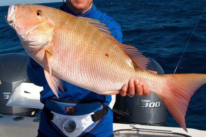 Private Patch Reef Fishing - Final Thoughts