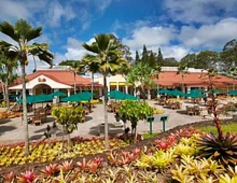 Private Pearl Harbor & Oahu Island Tour - What to Know Before You Book