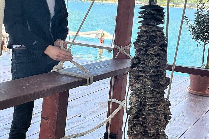 Private Peljeac Wine and Oyster Harvesting Experience by Boat - Key Points