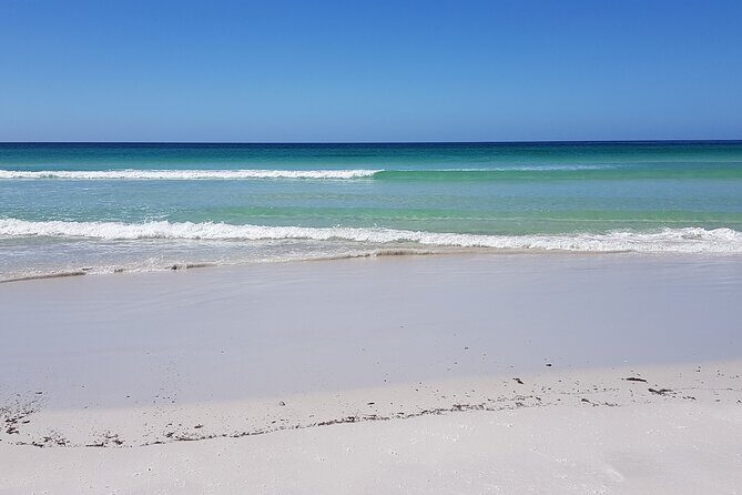 Private Penguin Paradise Tour: Penguins, Scenery & Stanley - Key Points