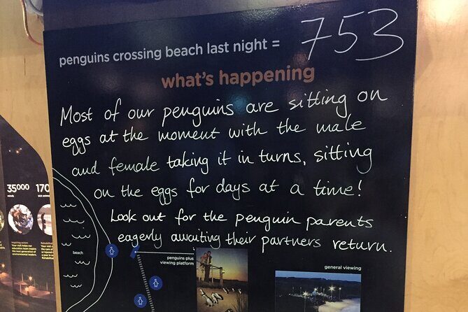 Private Penguin Tour includes Tour Guide & Penguin Plus Tickets - Final Thoughts