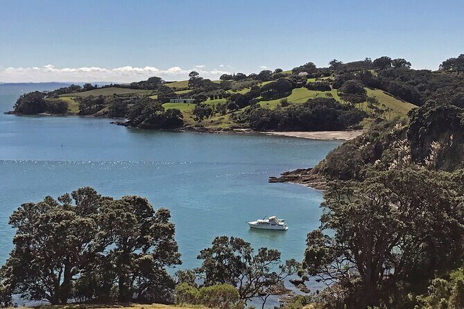 Private Personalised Tour in Waiheke Island - A Deep Dive into Waiheke’s Private Tour