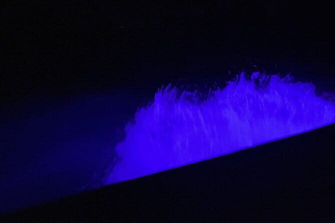 Private Phang Nga Bay Tour with Planktons Swim - In-Depth Review of the Phang Nga Bay Private Tour with Planktons Swim