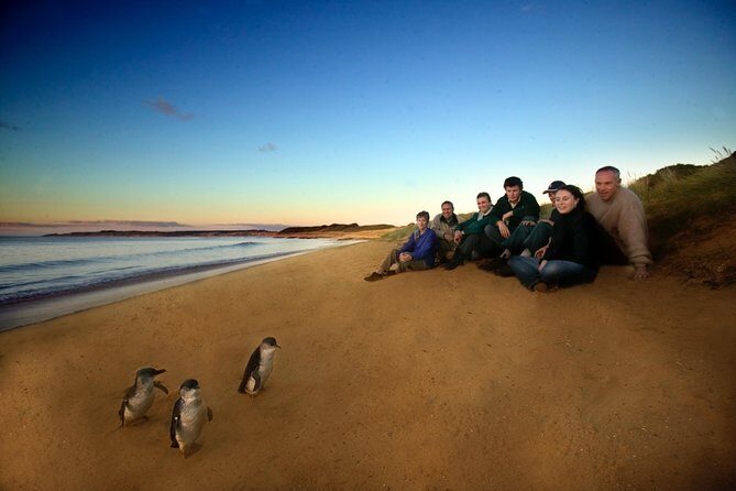 Private Phillip Island Day Trip from Melbourne Including Penguin Parade Premium Viewing - Engaging Tour Overview: What Makes This Trip Special