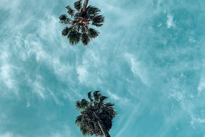 Private Photo Tour in Los Angeles - Best Instagram Places in LA - Exploring the LA neighborhoods and what to expect