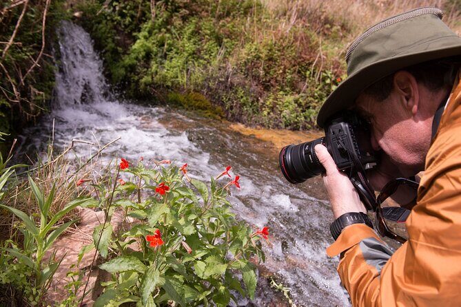 Private Photo Workshop and Sightseeing in Wasatch Mountains - Private Photo Workshop and Sightseeing in Wasatch Mountains: A Deep Dive
