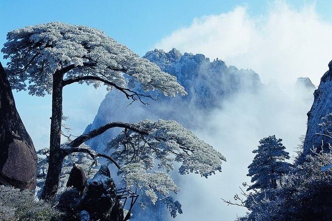 Private Photography Day Tour of Huangshan Yellow Mountain - Key Points