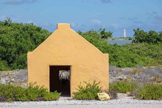 Private Photography Tour - Exploring the Bonaire Photography Experience: What You Can Expect