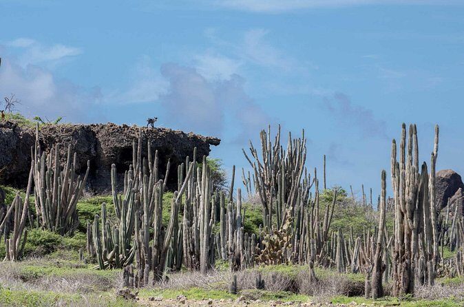 Private Photography Tour - FAQ