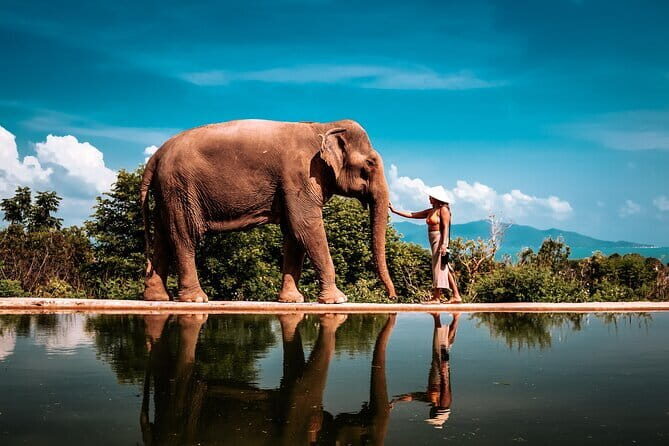 Private Photoshoot in Koh Samui - The Itinerary: What to Expect