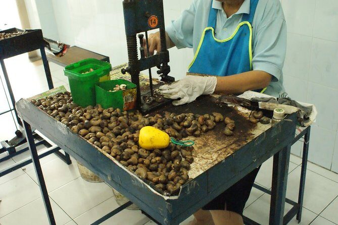 Private Phuket Island Tour with Big Buddha (1-8 Guests) - An In-Depth Look at the Phuket Private Tour