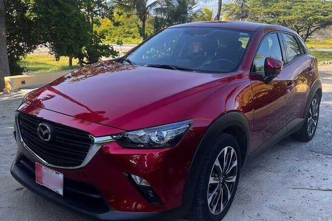 Private Pick Up or Drop Off in Aruba - Key Points