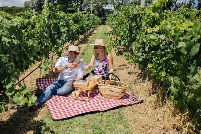 Private Picnic Lunch Experience in Orange with Wine - Who Will Love This Experience?
