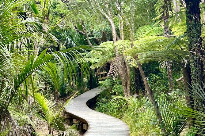 Private Piha Beach, Rainforest Adventure & Mt. Eden with Guide - The Experience in Detail
