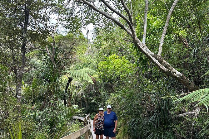 Private Piha Beach, Rainforest Adventure & Mt. Eden with Guide - The Sum Up