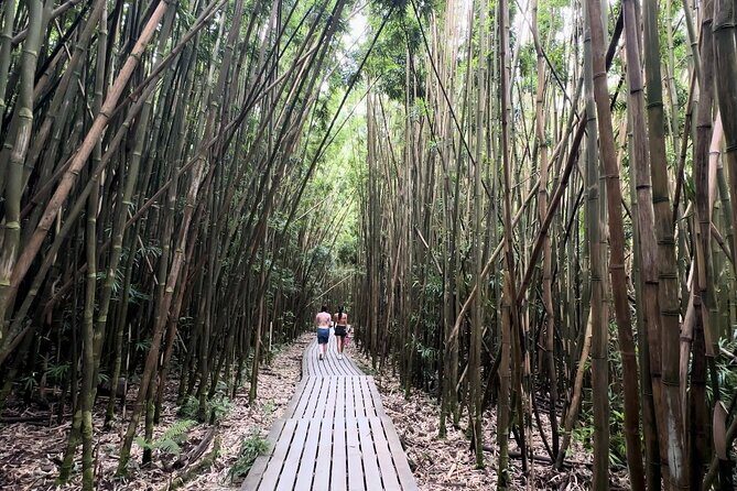 Private Pipiwai Trail Maui Open-Air Jeep Tour - Who Will Love This Experience?