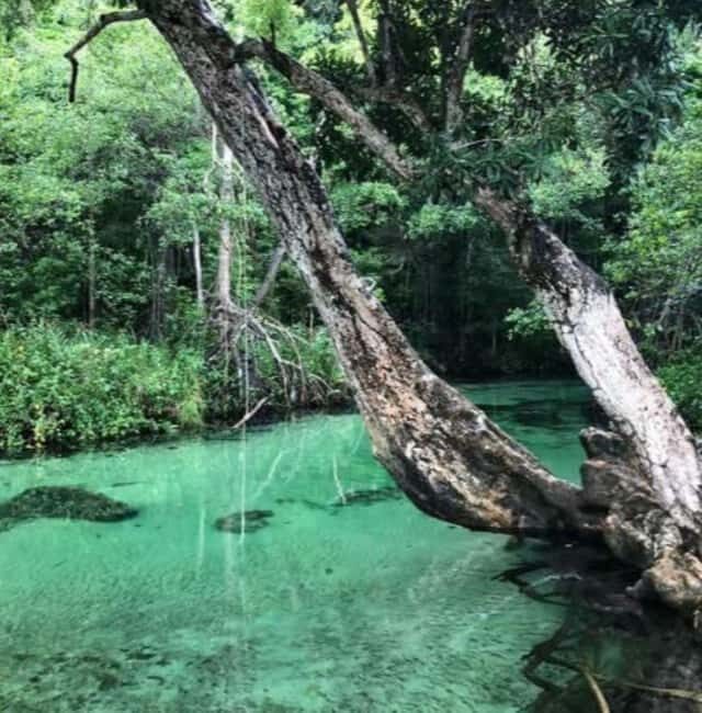 Private: Playa Rincón Samaná Levantado Full-Day Excursion - Discover Samaná, Playa Rincón, and Cayo Levantado on a Full-Day Tour