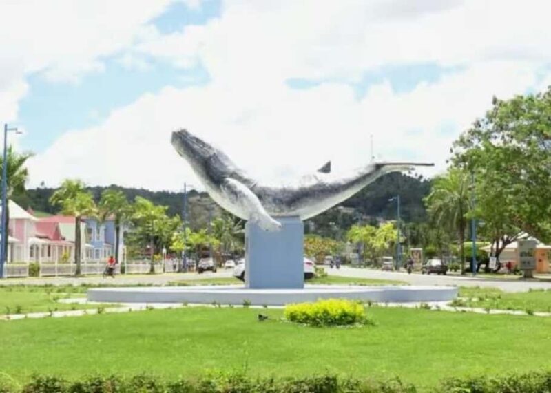 Private: Playa Rincón Samaná Levantado Full-Day Excursion - Who Will Love This Tour?