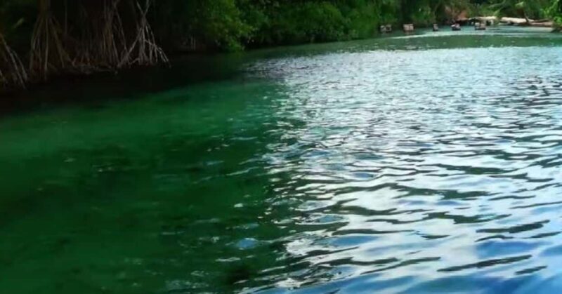 Private: Playa Rincón Samaná Levantado Full-Day Excursion - Final Thoughts: Is This Tour for You?