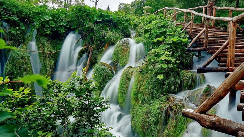 Private Plitvice Lakes and Zadar Tour with Lunch from Split - Discovering Plitvice Lakes National Park