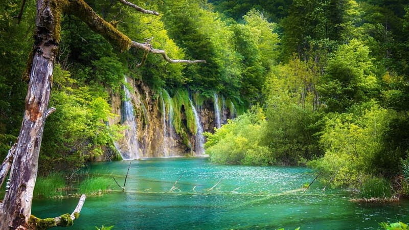 Private Plitvice Lakes and Zadar Tour with Lunch from Split - Lunch in Zadar: Coastal Charm and Local Flavors