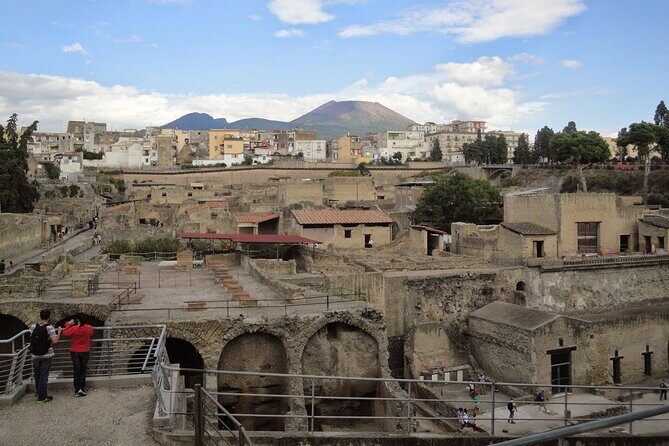 Private Pompeii, Herculaneum and Winery Tour from Naples - Who Will Love This Tour?