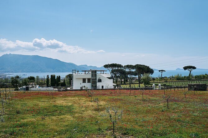 Private Pompeii Tour with Wine Tasting Experience - FAQs