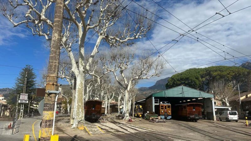 PRIVATE Port de Sóller, Sóller, and Sa Foradada Sunset Tour - Key Points