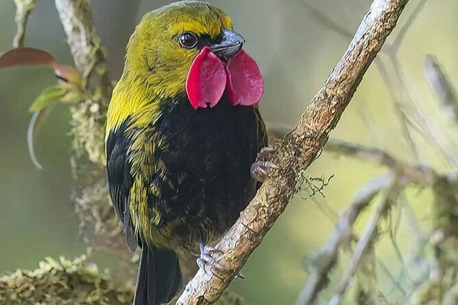 Private Port Moresby City Tour - On the Downside