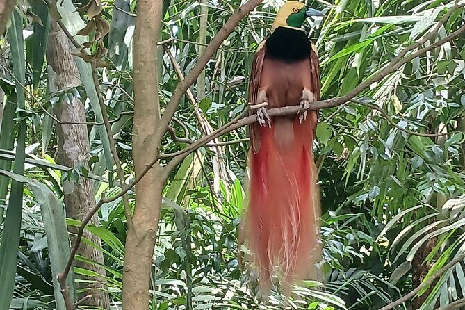 Private Port Moresby City Tour - Who Is This Tour Best For?