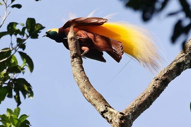 Private Port Moresby City Tour - FAQs