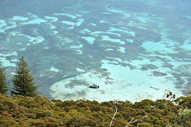 Private Port Stephens Day Trip from Sydney incl Dolphin Cruise - FAQs