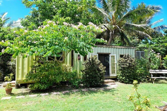 Private Pottery Experience at British Virgin Islands - Frequently Asked Questions