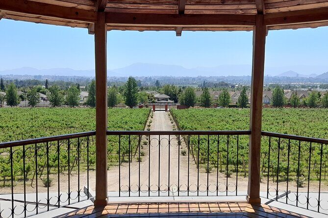 Private pre/post cruise tour Valparaiso & Casablanca Wine Valley - Key Points