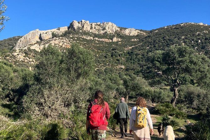Private Prehistoric and Ancient Tour in Strait Natural Park - Who Will Love This Tour?
