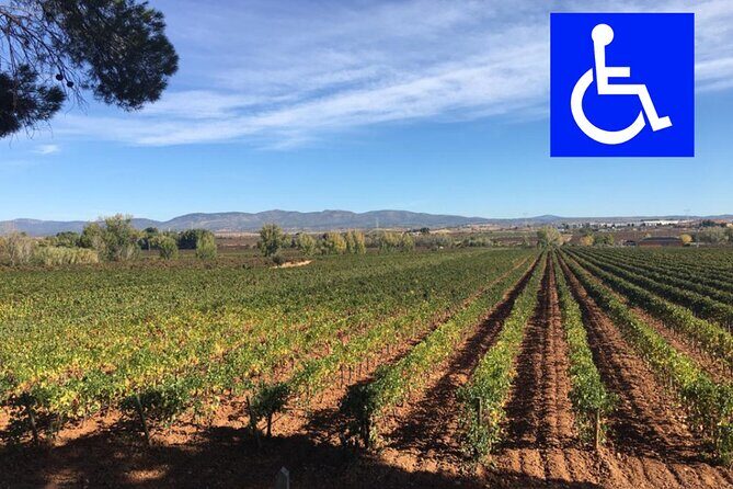 Private, premium: 3 wineries in Valencia region + winery lunch - A Closer Look at the Valencia Region Wine Tour