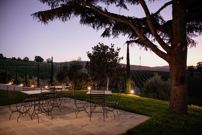 Private Premium Brunello Wine Tasting Tour & Food Pairing - Practical Tips for Your Visit