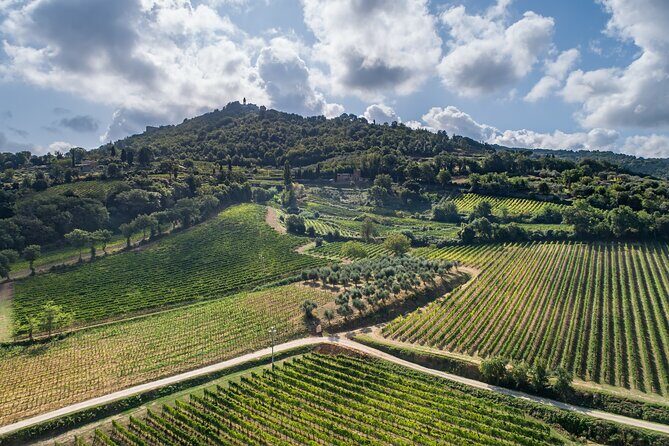 Private Premium Brunello Wine Tasting Tour & Food Pairing - The Sum Up