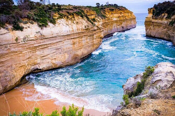 Private Premium Great Ocean Road with Lunch & Wildlife spotting - A Detailed Look at the Tour Experience